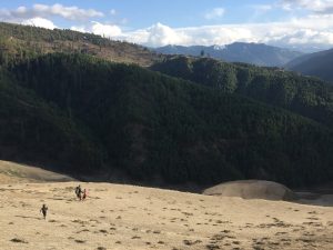 IMG_0645 2
